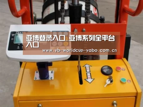 亚博网站案例展示三