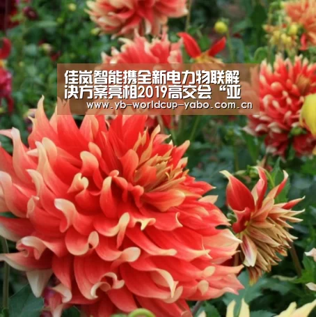佳岚智能携全新电力物联解决方案亮相2019高交会“亚博中国官网”(图1) 亚博网站