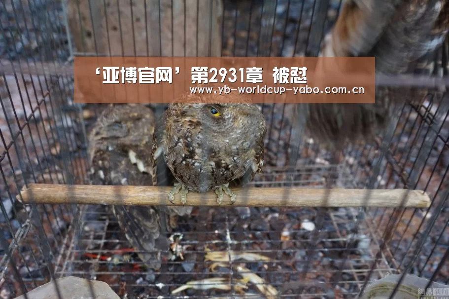 ‘亚博官网’第2931章 被怼(图1) 亚博中国官网