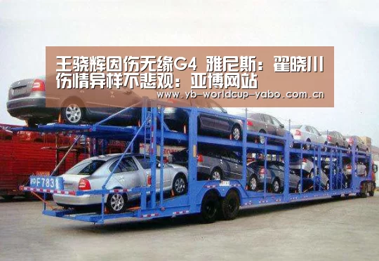 王骁辉因伤无缘G4 雅尼斯:翟晓川伤情异样不悲观:亚博网站(图1) 亚博网站