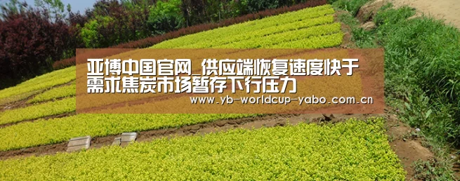 亚博中国官网_供应端恢复速度快于需求焦炭市场暂存下行压力(图1) 亚博网站