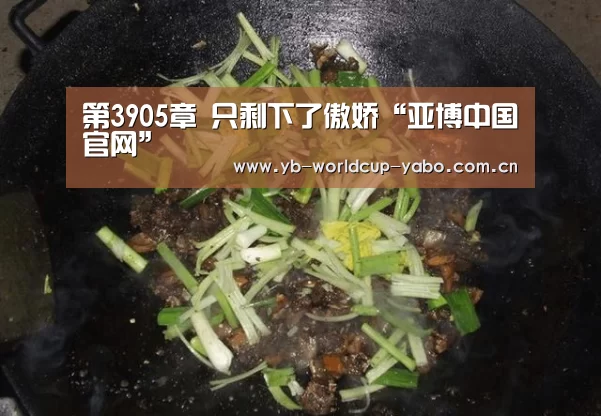 第3905章 只剩下了傲娇“亚博中国官网”(图1) 亚博官网
