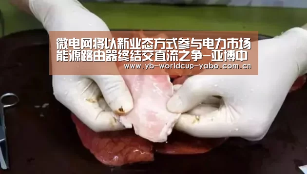 微电网将以新业态方式参与电力市场能源路由器终结交直流之争-亚博中国官网(图4) 亚博中国官网