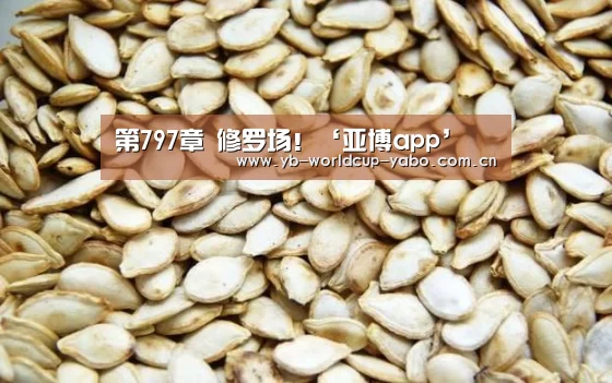 第797章 修罗场!‘亚博app’(图4) 亚博网站