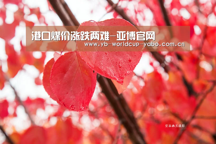 亚博官网
